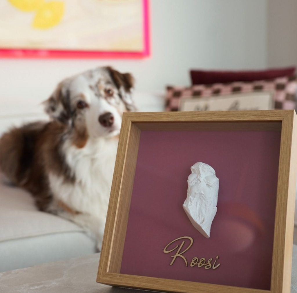 Lemmiklooma jäljend